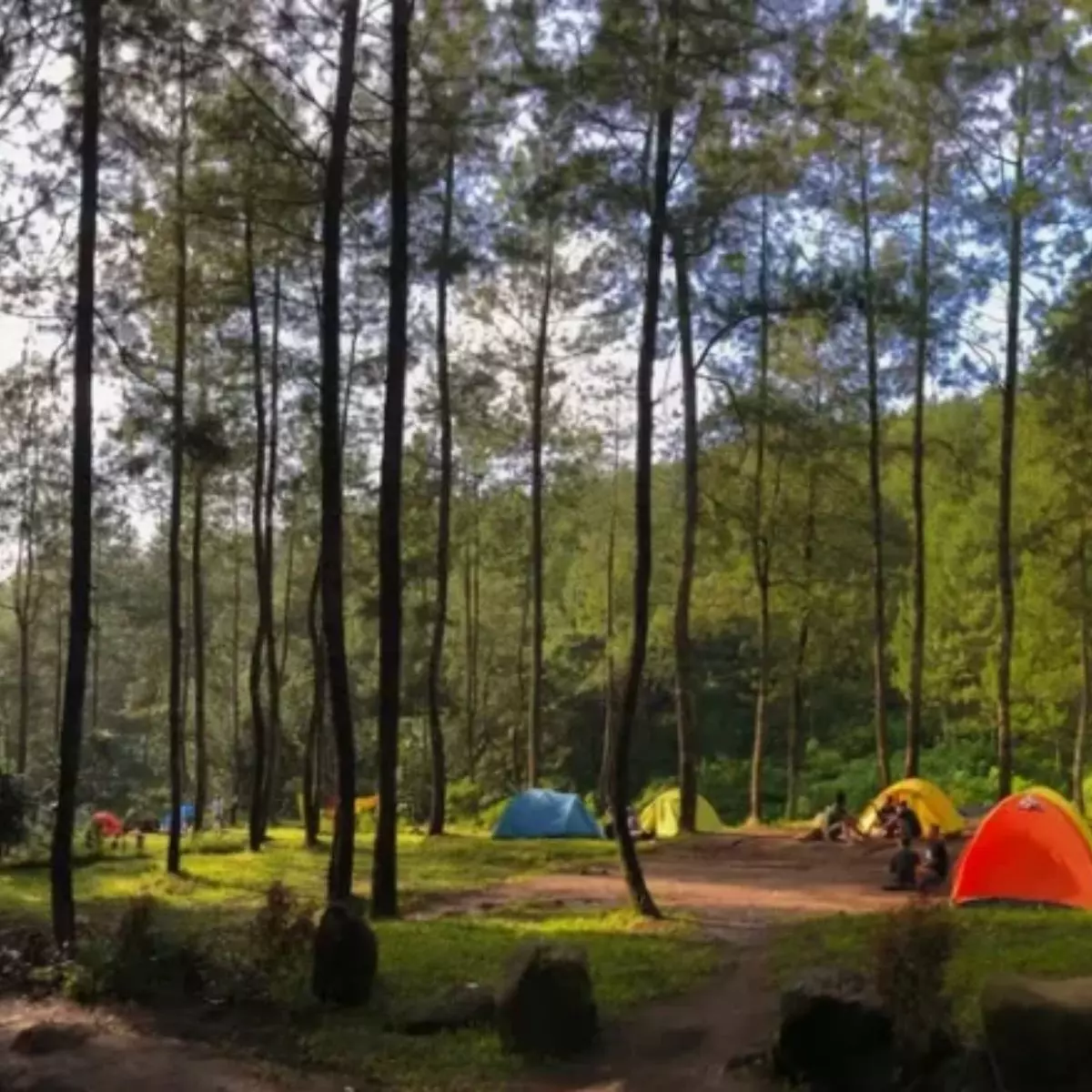 1. Taman Merak