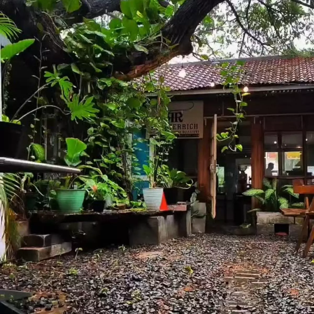 Suasana Cozy yang Bikin Lupa Waktu
