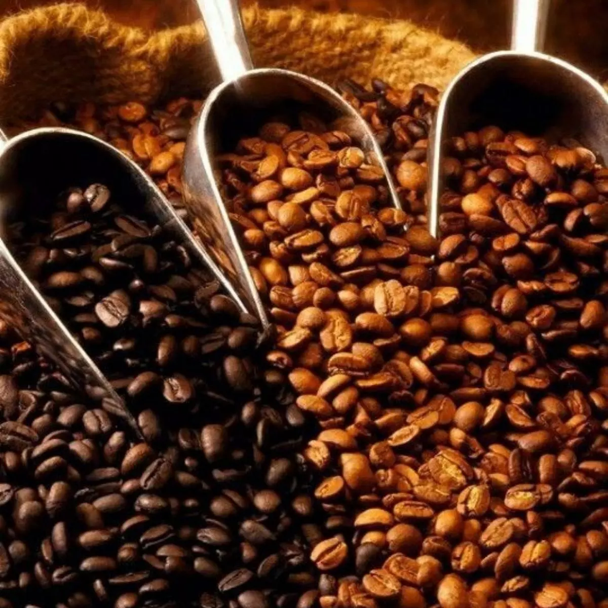 Karakter Rasa dari Berbagai Jenis Kopi