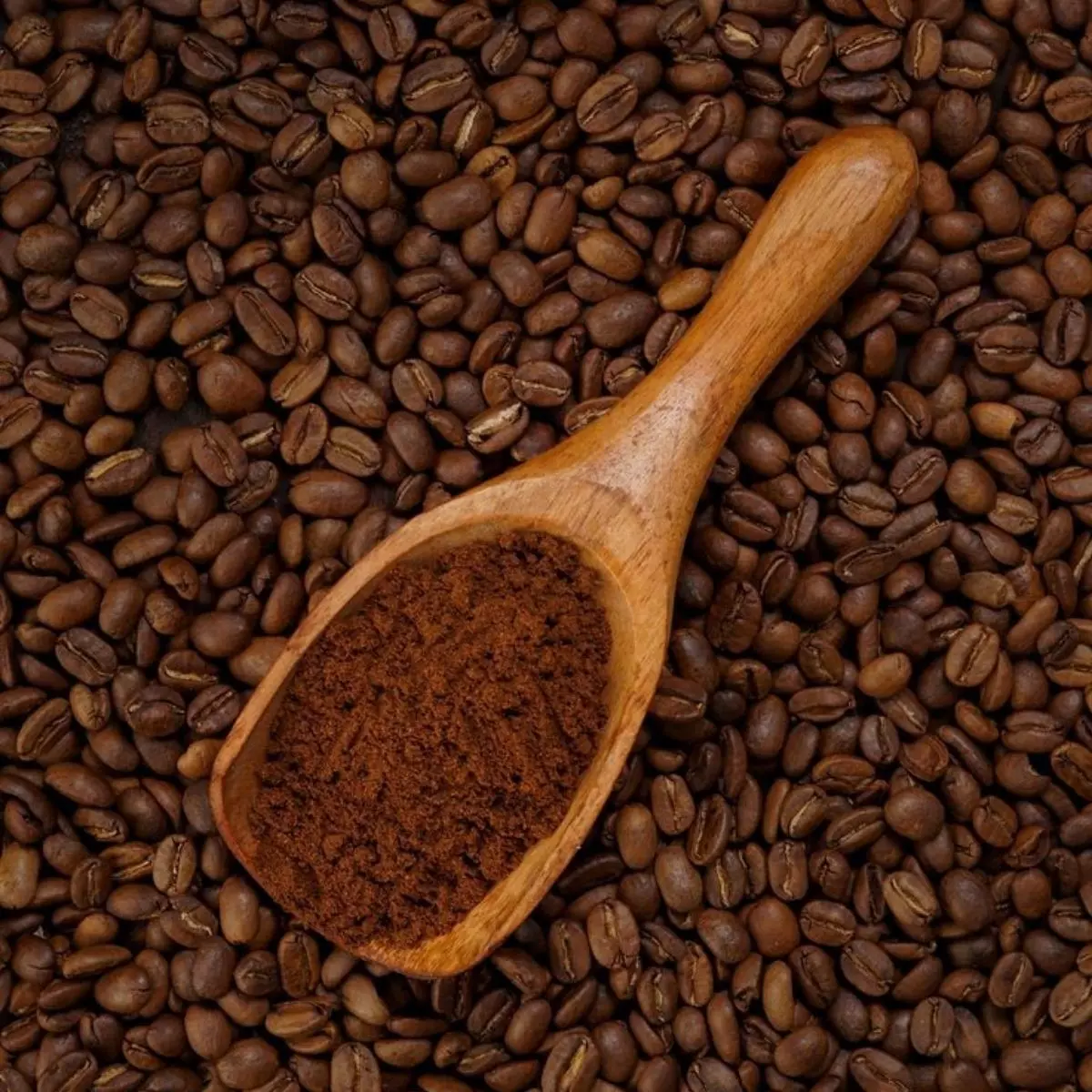 Mengapa Jenis Kopi Indonesia Semakin Diminati Dunia?
